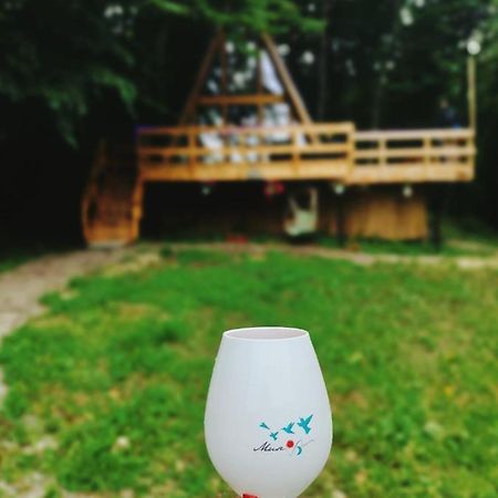 Cabanaaframe Intreaga Proprietate Curtea De Arges Bagian luar foto