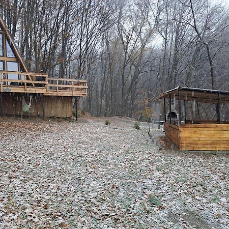 Cabanaaframe Intreaga Proprietate Curtea De Arges Bagian luar foto