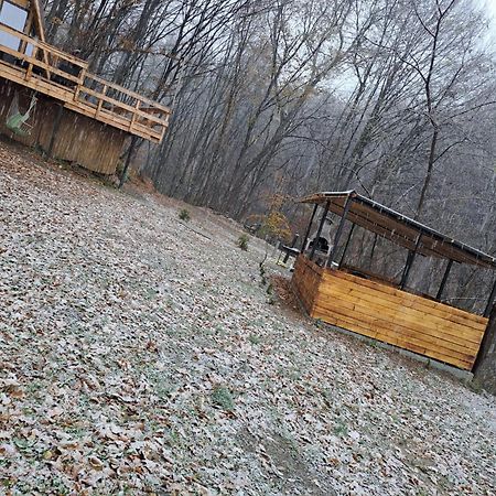 Cabanaaframe Intreaga Proprietate Curtea De Arges Bagian luar foto