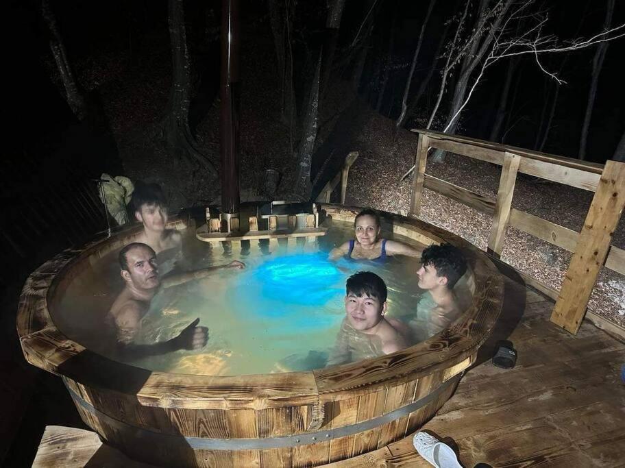 Cabanaaframe Intreaga Proprietate Curtea De Arges Bagian luar foto