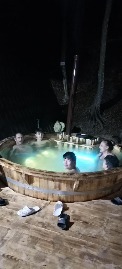 Cabanaaframe Intreaga Proprietate Curtea De Arges Bagian luar foto
