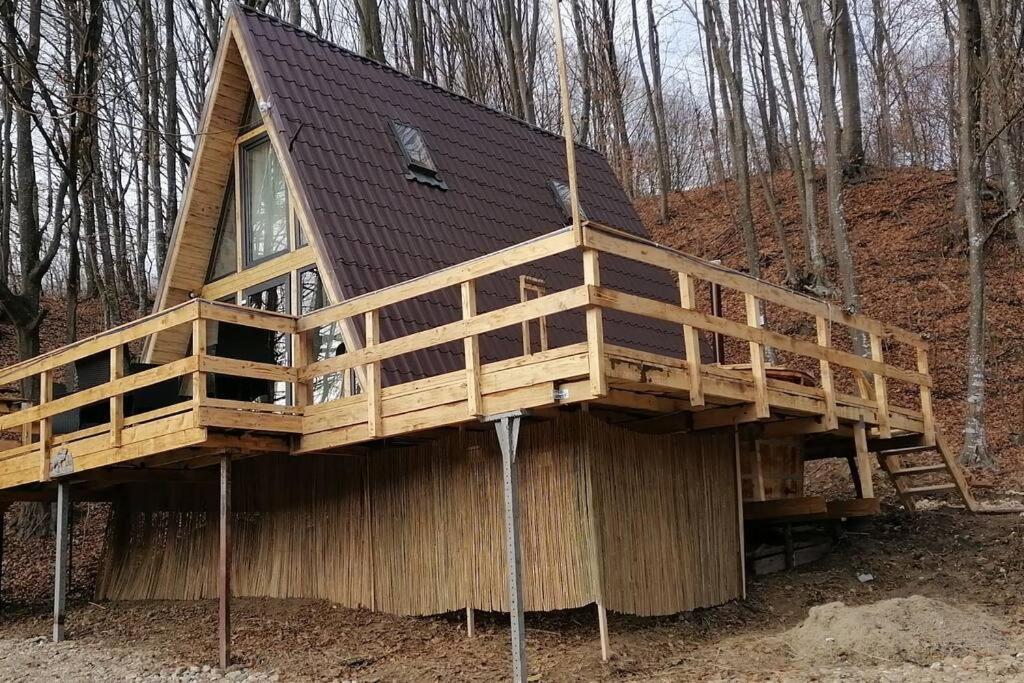 Cabanaaframe Intreaga Proprietate Curtea De Arges Bagian luar foto