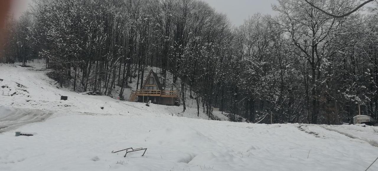 Cabanaaframe Intreaga Proprietate Curtea De Arges Bagian luar foto