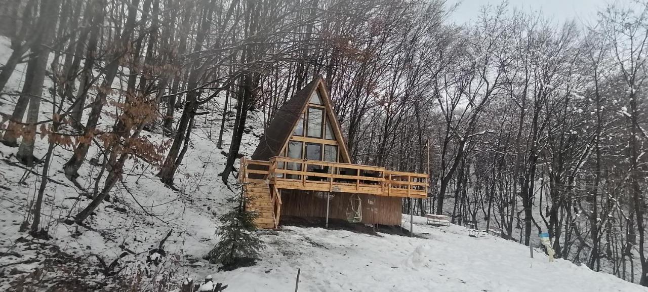 Cabanaaframe Intreaga Proprietate Curtea De Arges Bagian luar foto