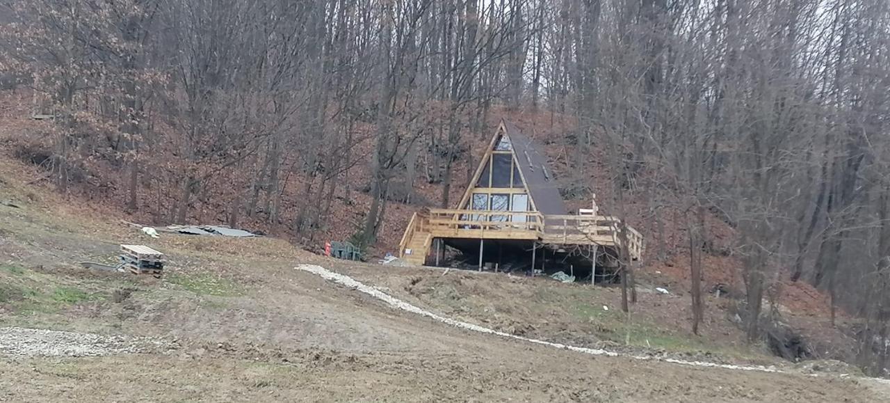 Cabanaaframe Intreaga Proprietate Curtea De Arges Bagian luar foto