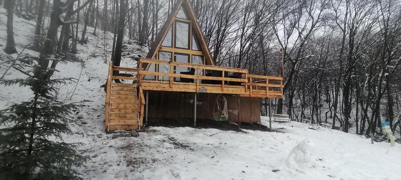 Cabanaaframe Intreaga Proprietate Curtea De Arges Bagian luar foto
