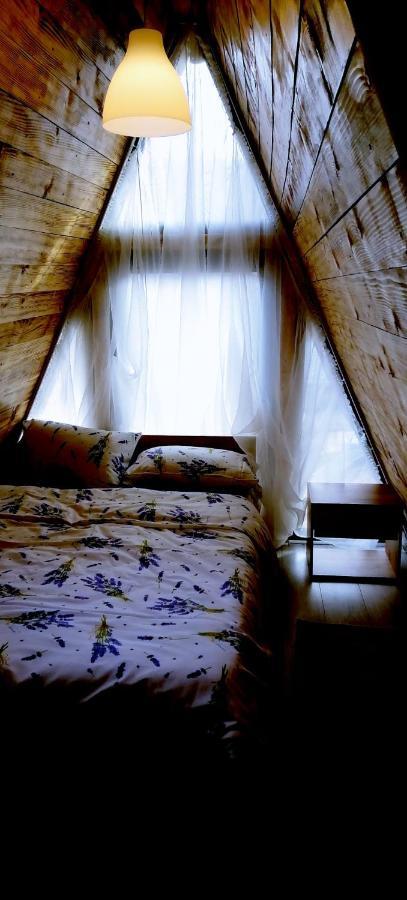 Cabanaaframe Intreaga Proprietate Curtea De Arges Bagian luar foto
