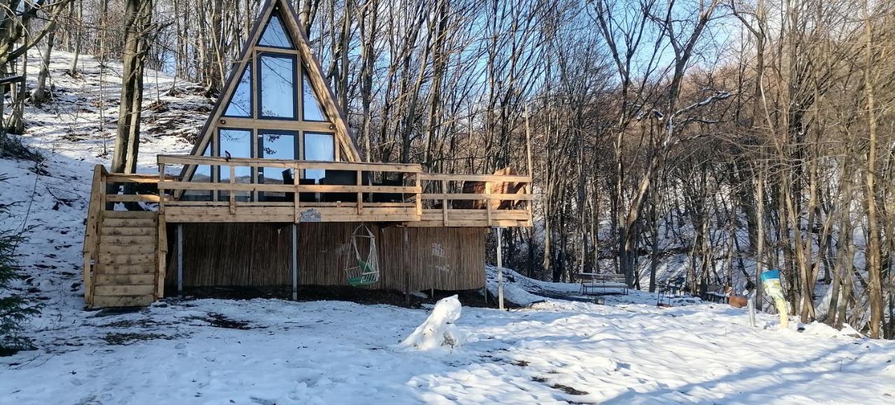 Cabanaaframe Intreaga Proprietate Curtea De Arges Bagian luar foto