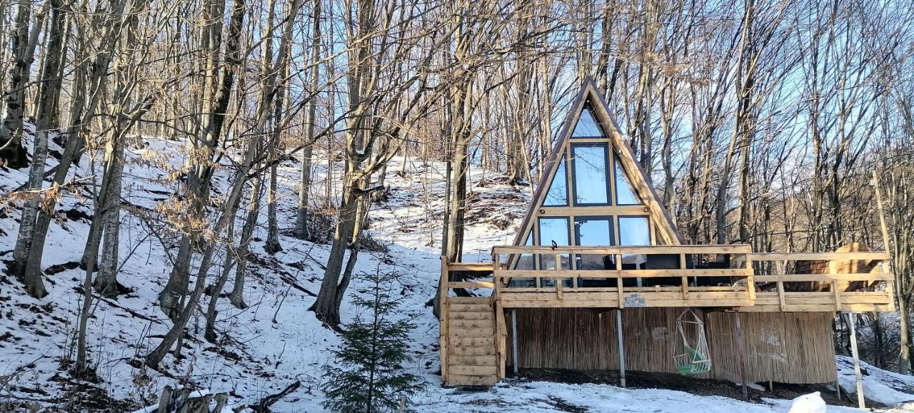 Cabanaaframe Intreaga Proprietate Curtea De Arges Bagian luar foto