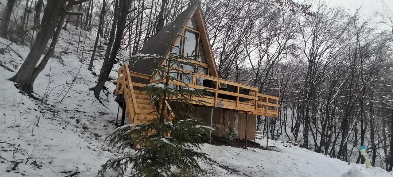 Cabanaaframe Intreaga Proprietate Curtea De Arges Bagian luar foto