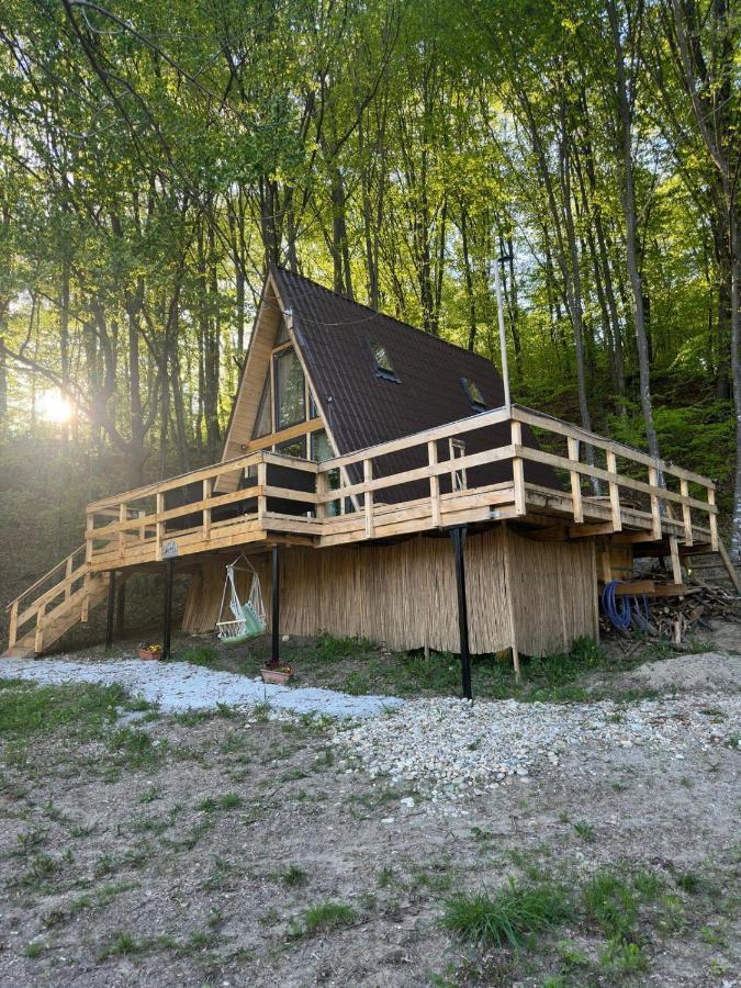 Cabanaaframe Intreaga Proprietate Curtea De Arges Bagian luar foto