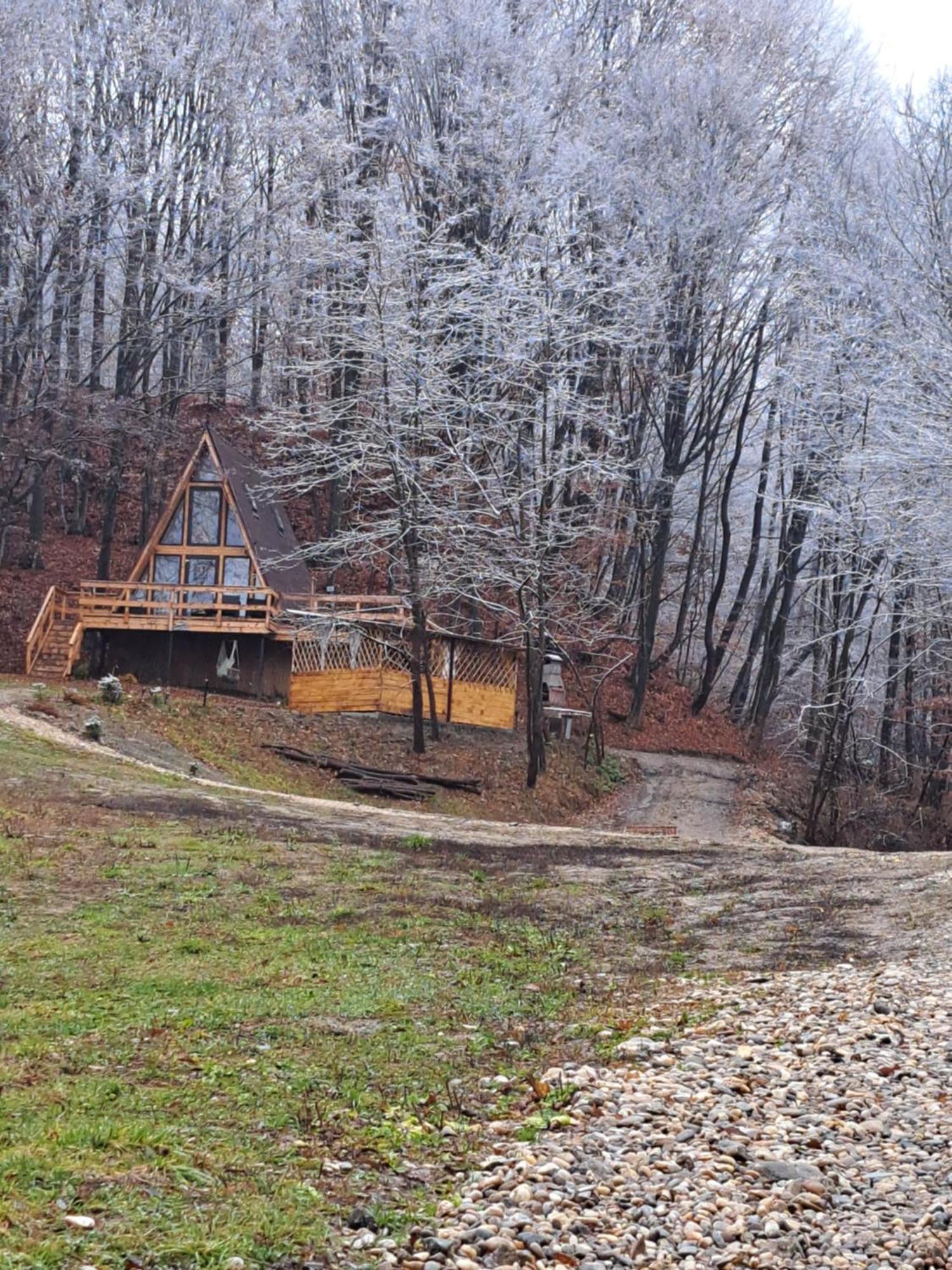 Cabanaaframe Intreaga Proprietate Curtea De Arges Bagian luar foto