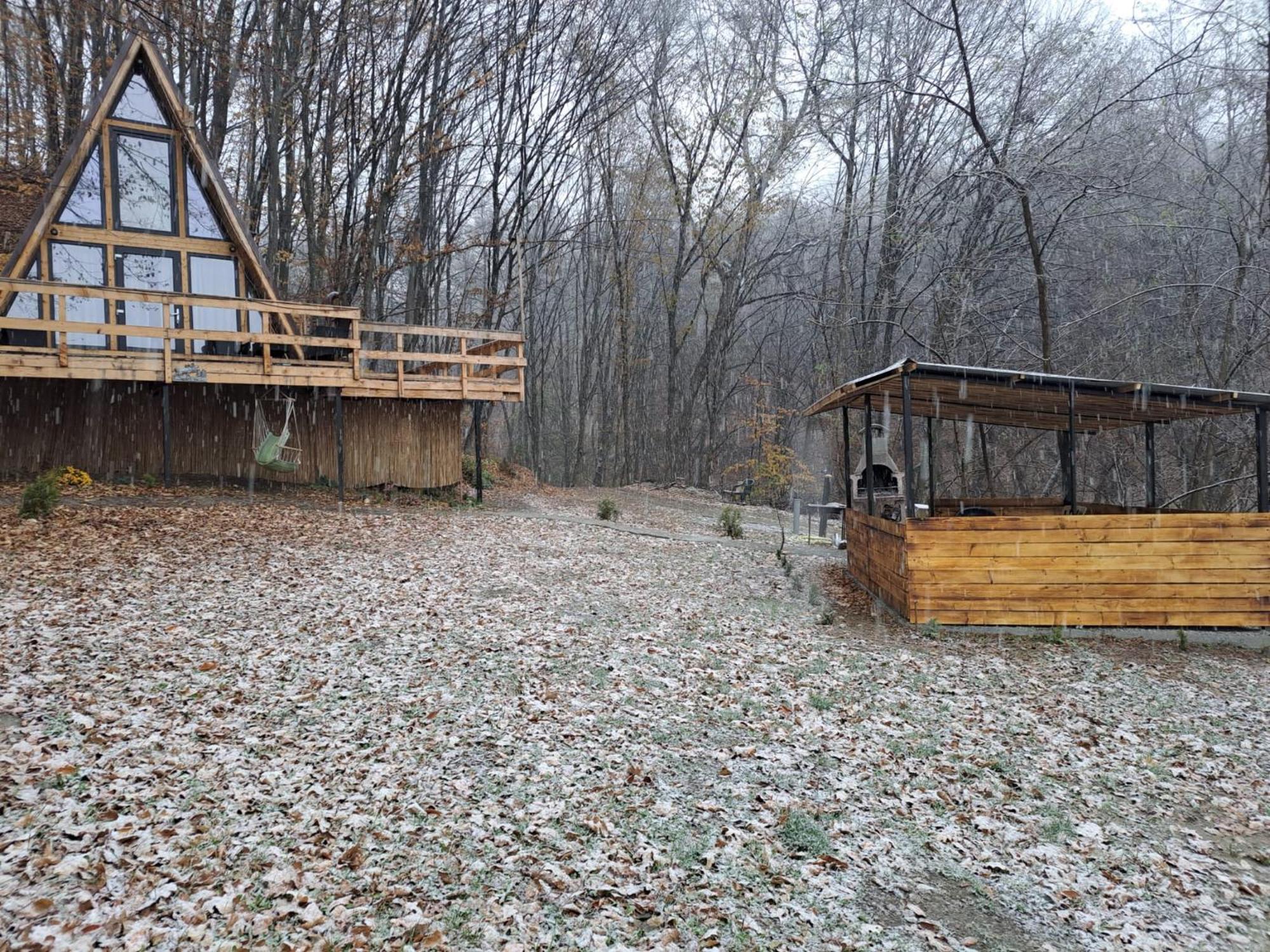 Cabanaaframe Intreaga Proprietate Curtea De Arges Bagian luar foto