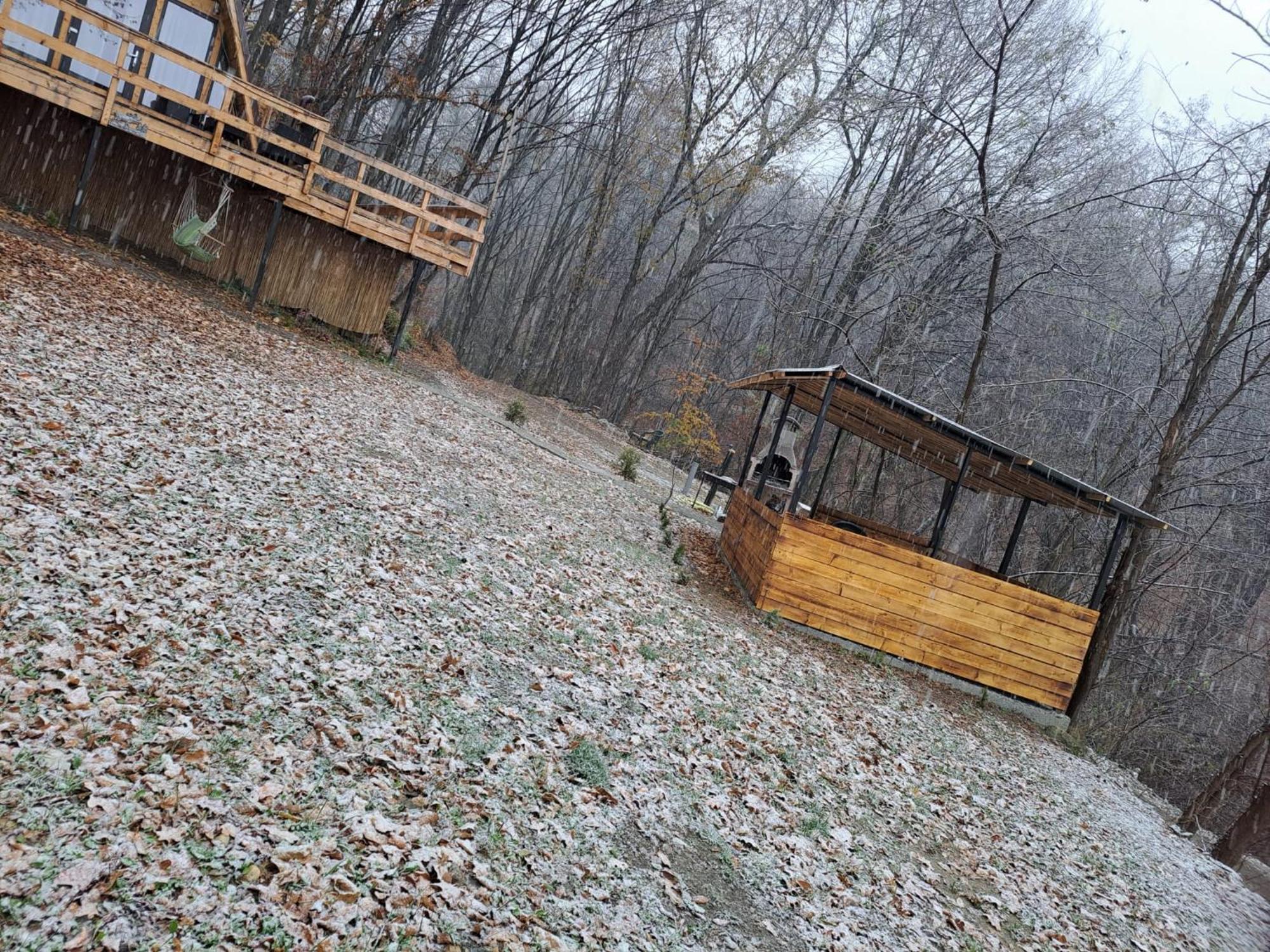 Cabanaaframe Intreaga Proprietate Curtea De Arges Bagian luar foto