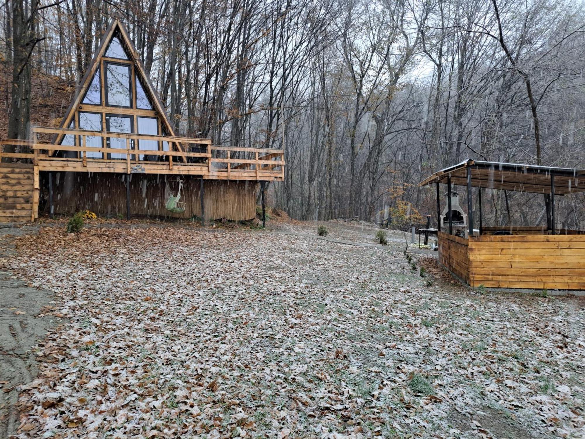 Cabanaaframe Intreaga Proprietate Curtea De Arges Bagian luar foto