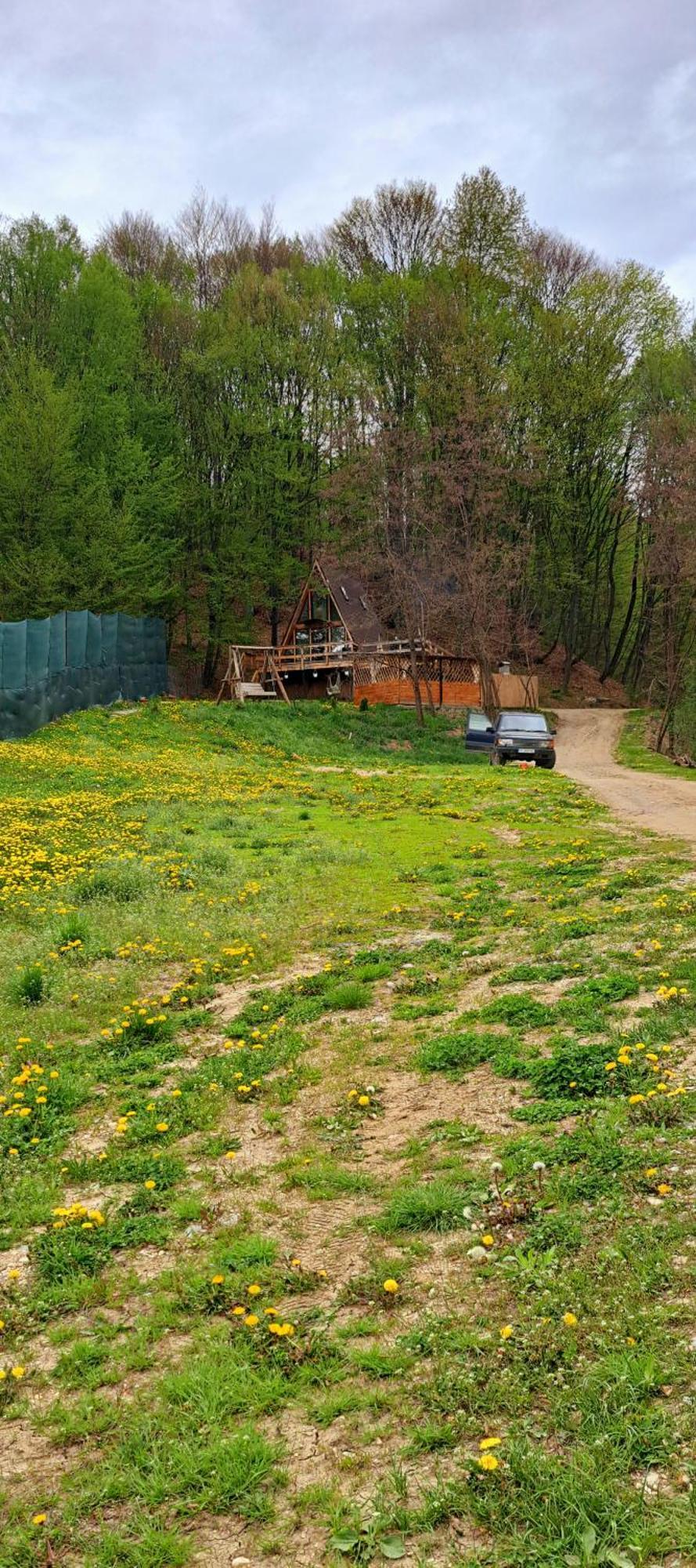Cabanaaframe Intreaga Proprietate Curtea De Arges Bagian luar foto
