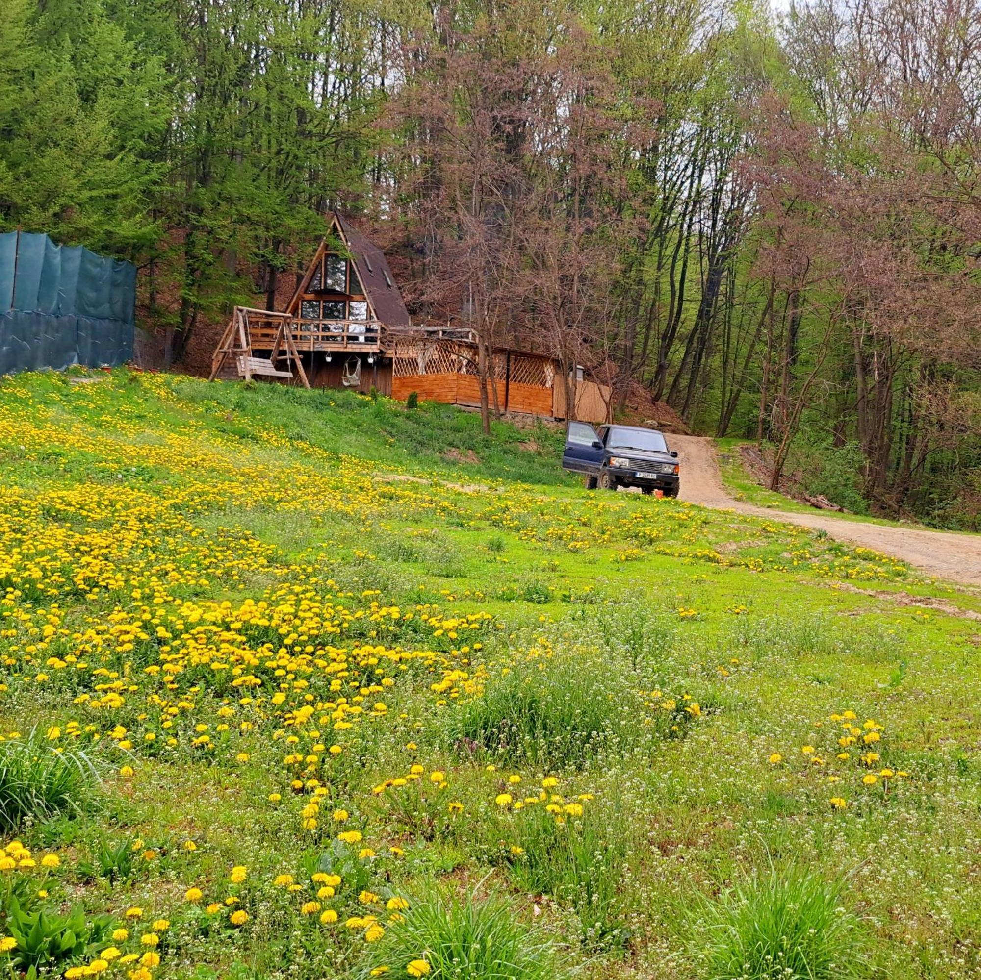 Cabanaaframe Intreaga Proprietate Curtea De Arges Bagian luar foto